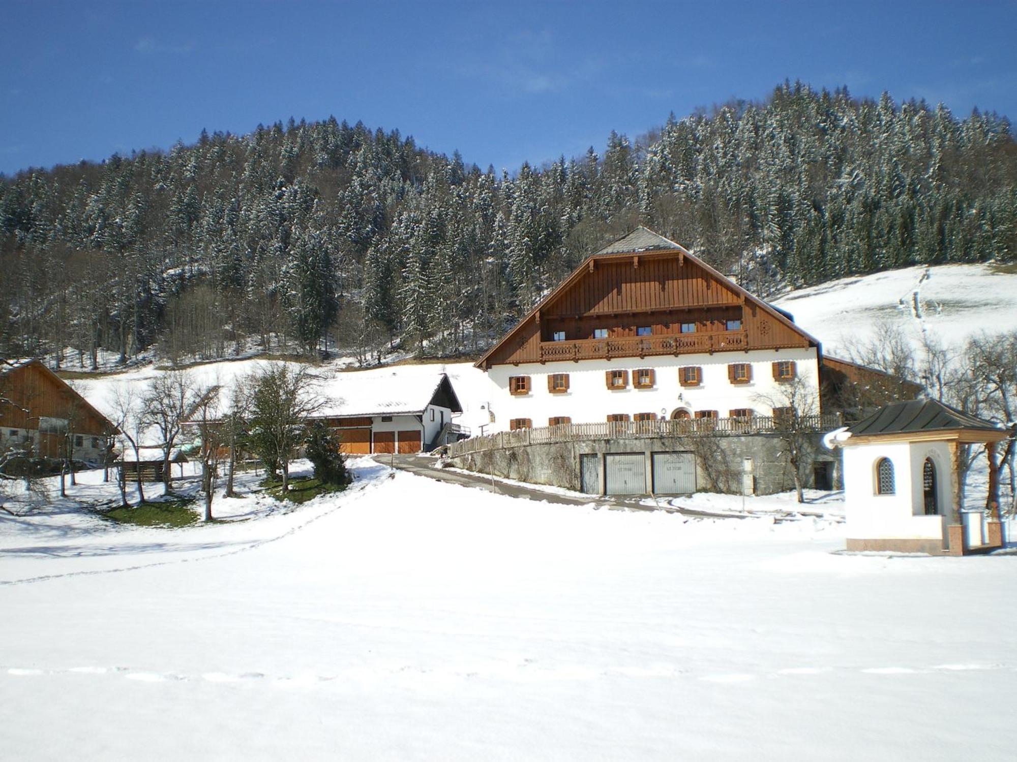 Russbachbauer Villa Sankt Wolfgang im Salzkammergut Ngoại thất bức ảnh