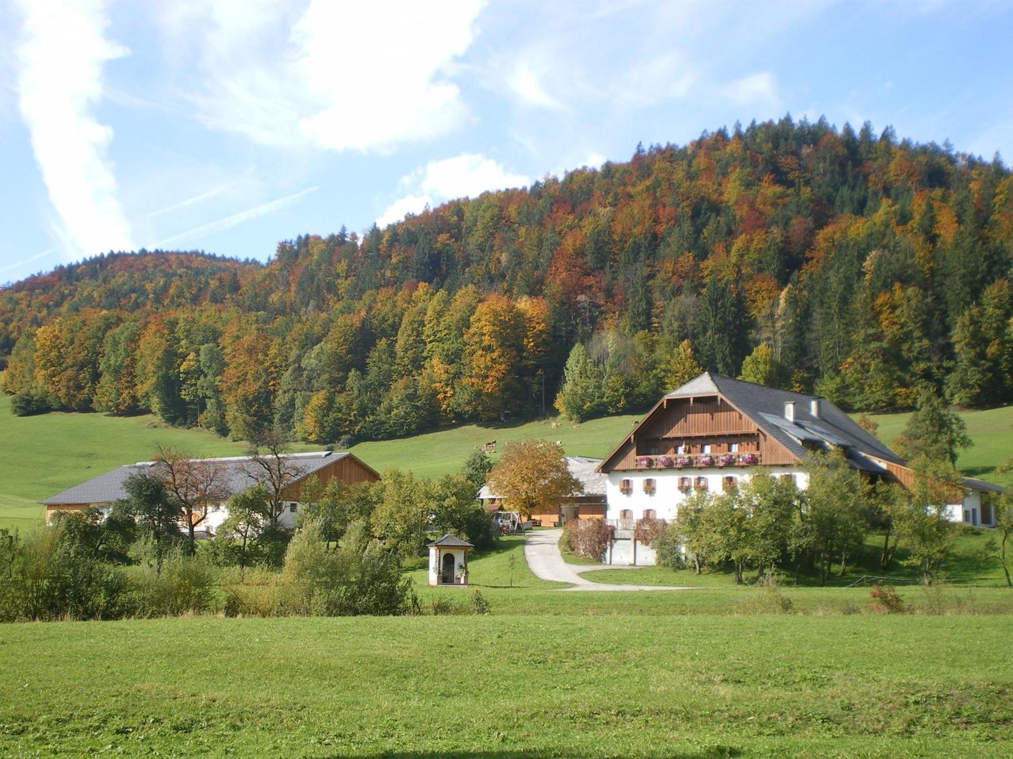 Russbachbauer Villa Sankt Wolfgang im Salzkammergut Ngoại thất bức ảnh