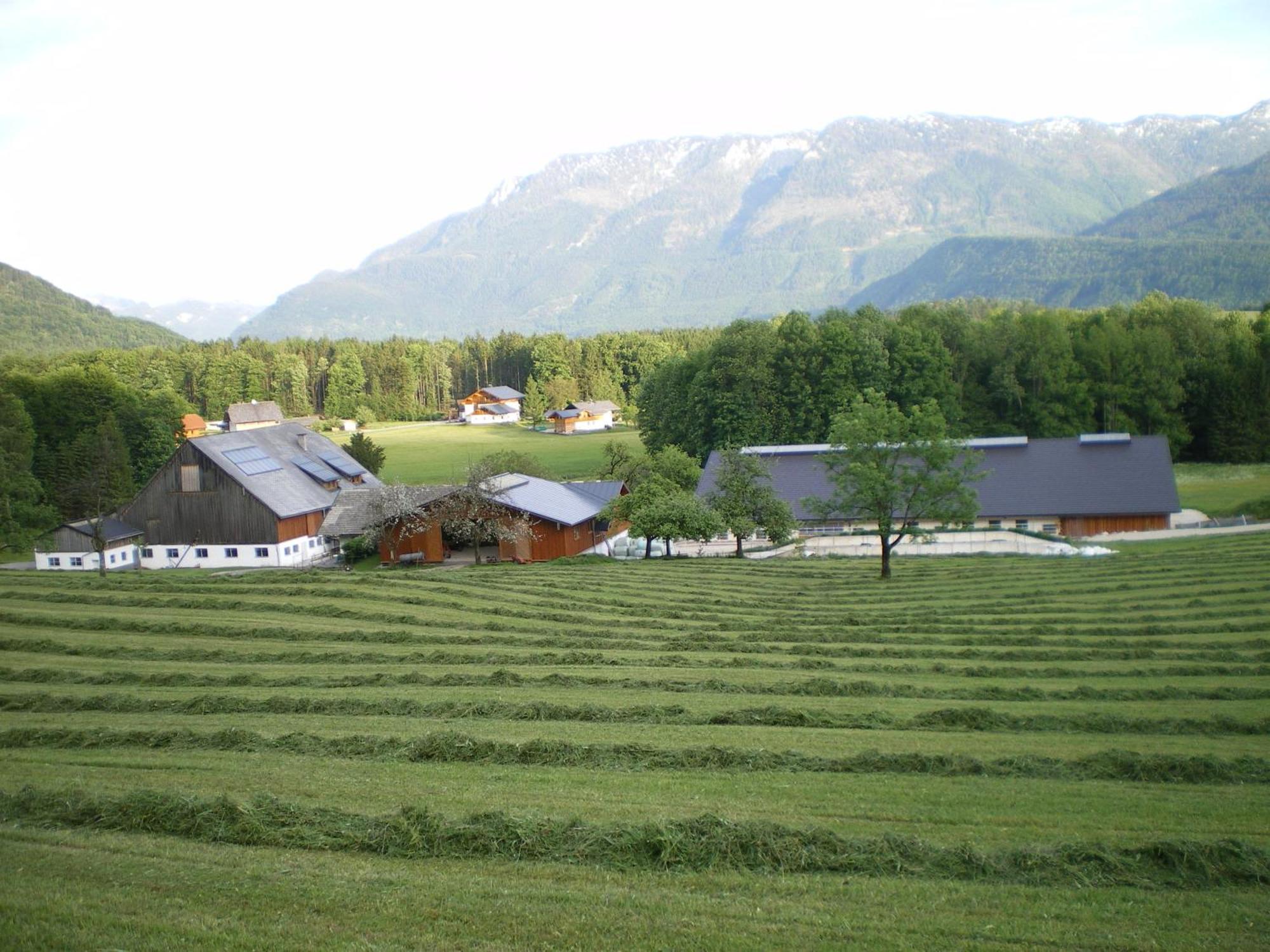 Russbachbauer Villa Sankt Wolfgang im Salzkammergut Ngoại thất bức ảnh