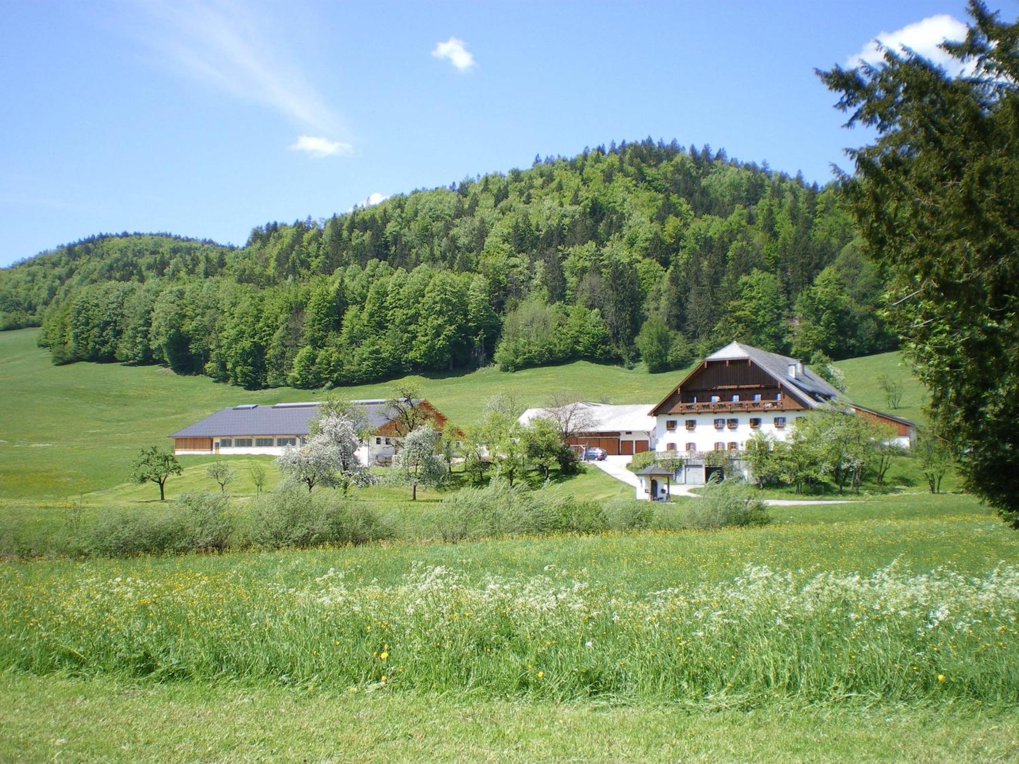 Russbachbauer Villa Sankt Wolfgang im Salzkammergut Ngoại thất bức ảnh