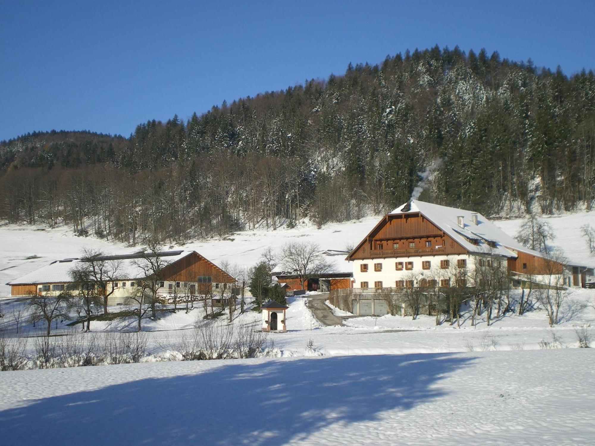 Russbachbauer Villa Sankt Wolfgang im Salzkammergut Ngoại thất bức ảnh