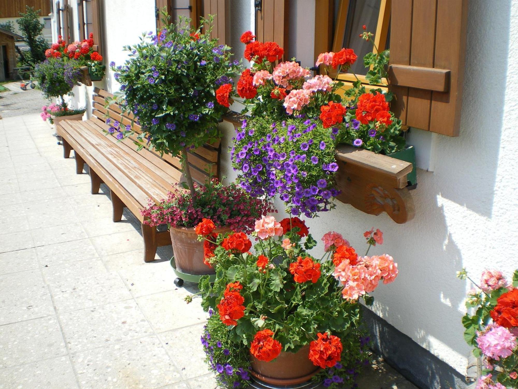 Russbachbauer Villa Sankt Wolfgang im Salzkammergut Ngoại thất bức ảnh